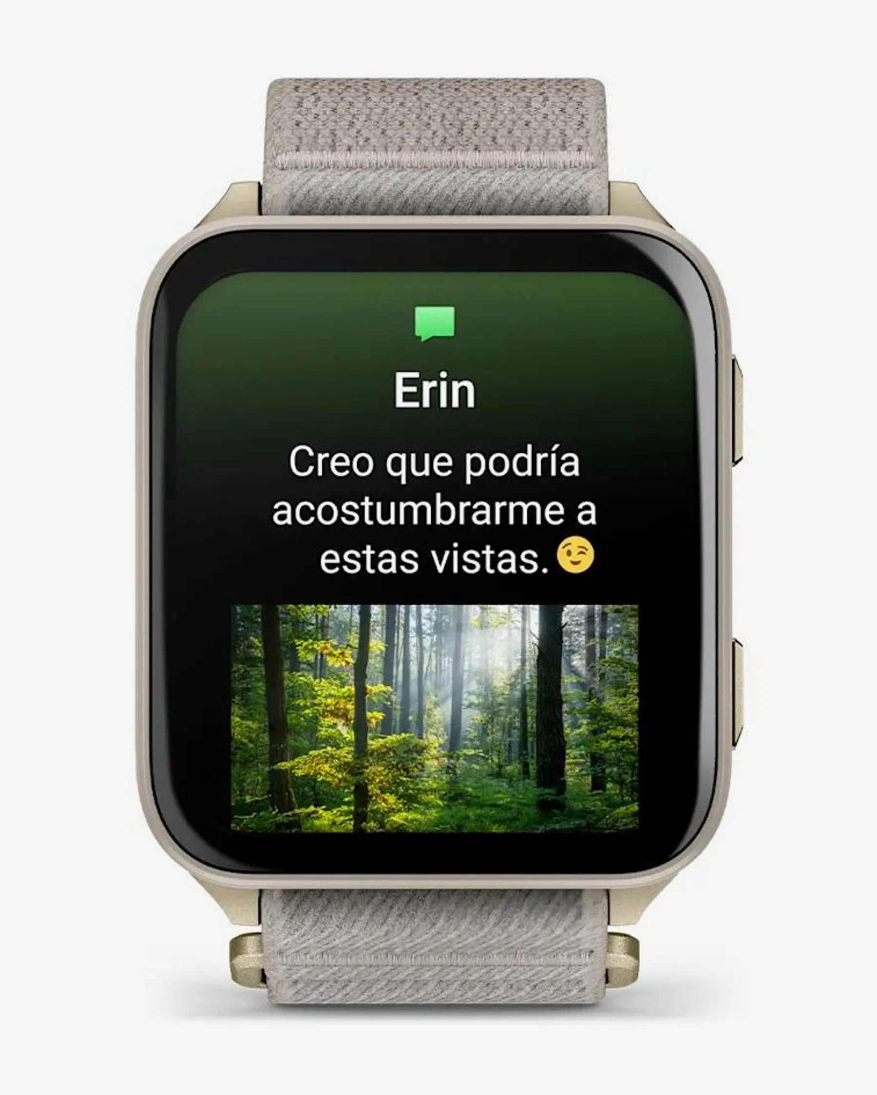 Garmin Venu X1 Gold mit grauem Armband